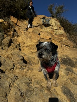 The Brush Canyon Trail by null