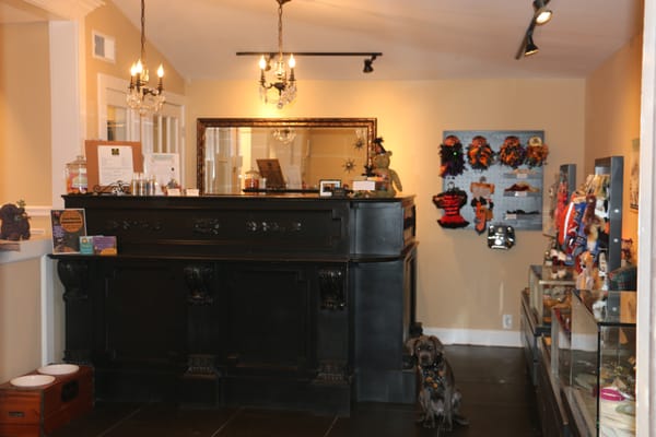 Putnam Paws Doggy Daycare & Grooming