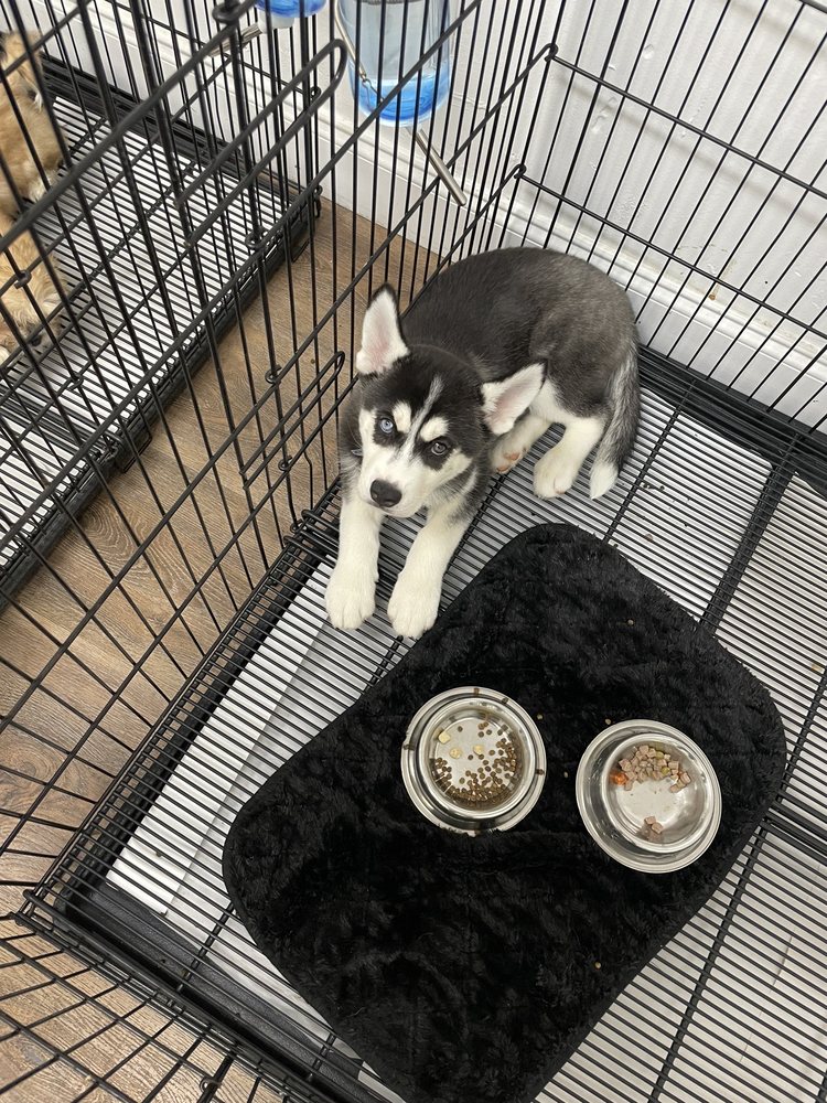 BEVERLY’S PET CENTER 99 Photos & 104 Reviews Pet Stores 8356