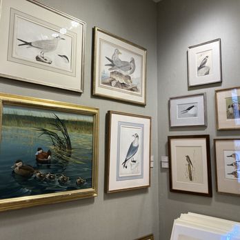 Joel Oppenheimer - Ducks and other birds - Art Galleries Near Me - Chicago, Illinois