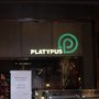 Platypus Shoes