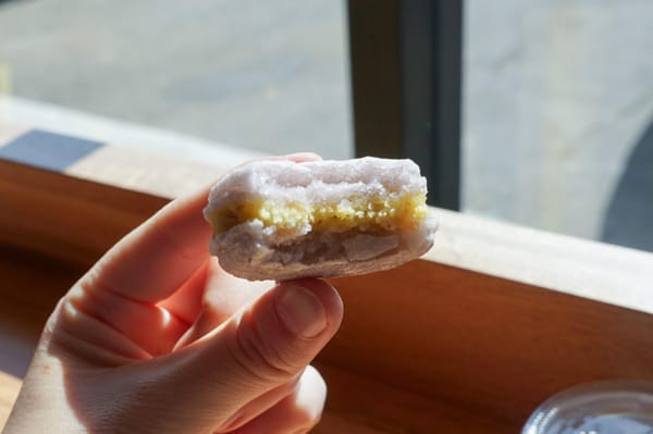 Boston Bonbon by null