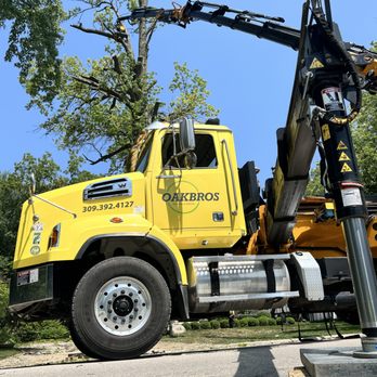 Oak Bros Tree Care & Removal - Tree Services Near Me - Bloomington, Illinois Oak Bros Tree Care & Removal - Tree Services Near Me - Bloomington, Illinois