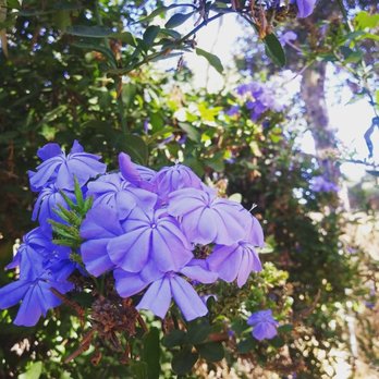Michael D. Antonovich Trail - Hiking Near Me - San Dimas, California