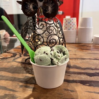 Hoot Owl Farm House - Mint Chip Cup - Ice Cream & Frozen Yogurt Near Me - Palatka, Florida Hoot Owl Farm House - Mint Chip Cup - Ice Cream & Frozen Yogurt Near Me - Palatka, Florida