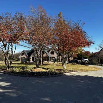 Rafael Tree Service - Tree Services Near Me Rafael Tree Service - Tree Services Near Me