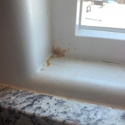 They said the ants come eat all this up... doesn't look like it to me They said the ants come eat all this up... doesn't look like it to me