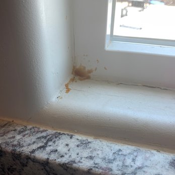 Clark Pest Control - They said the ants come eat all this up... doesn't look like it to me - Pest Control Near Me - Bakersfield, California Clark Pest Control - They said the ants come eat all this up... doesn't look like it to me - Pest Control Near Me - Bakersfield, California