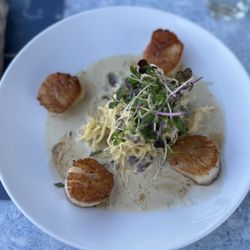 51 Rocky Neck Restaurant - Scallops