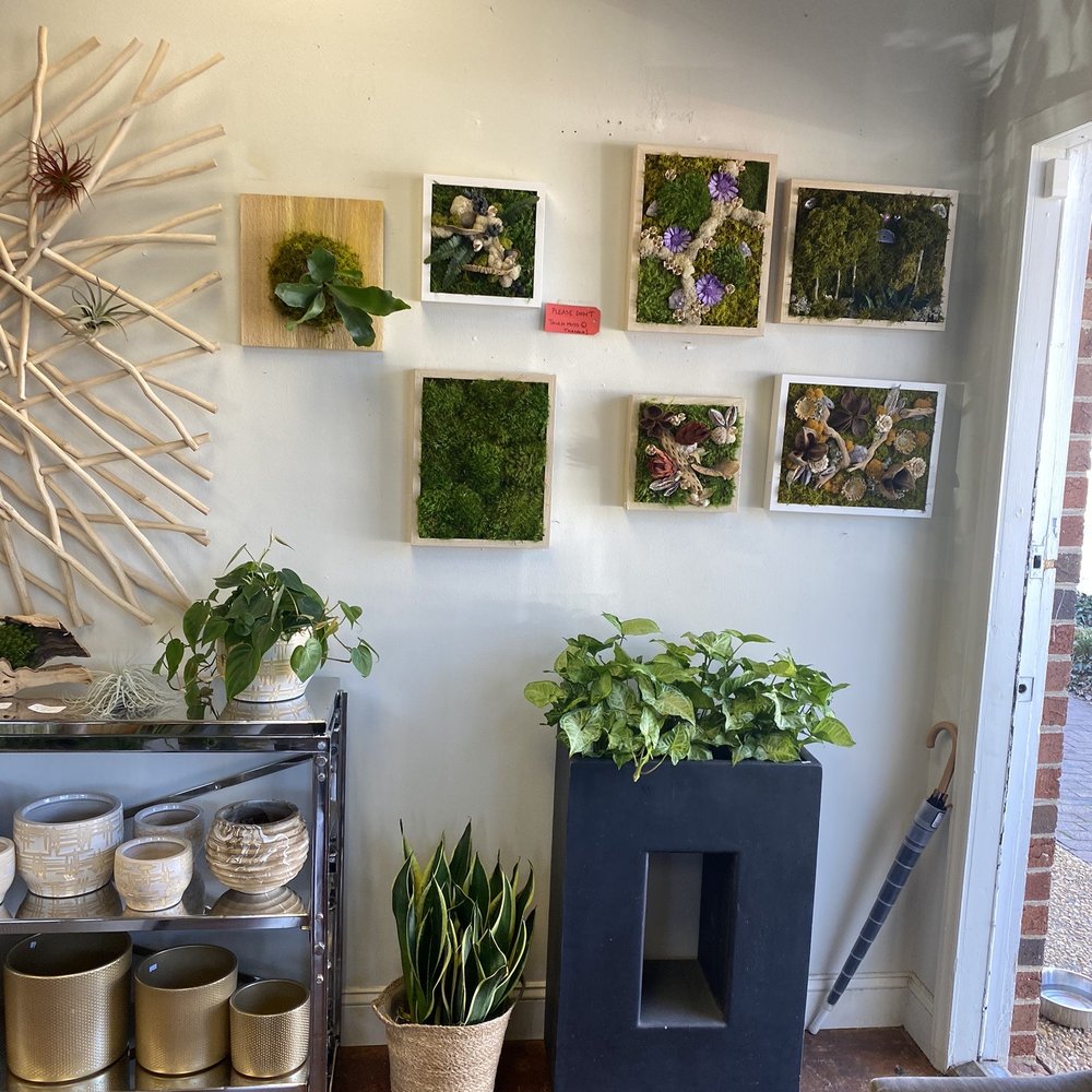 City Garden Design - Beautiful plant displays - Nurseries & Gardening Near Me - Cary, North Carolina City Garden Design - Beautiful plant displays - Nurseries & Gardening Near Me - Cary, North Carolina
