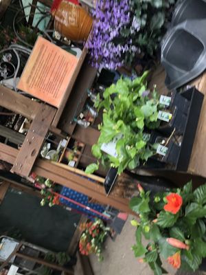 Another Place In Time