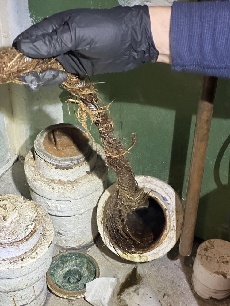 Slide of All Star Sewer