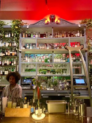 Aunty Betty's Gin and Absinthe Bar by null