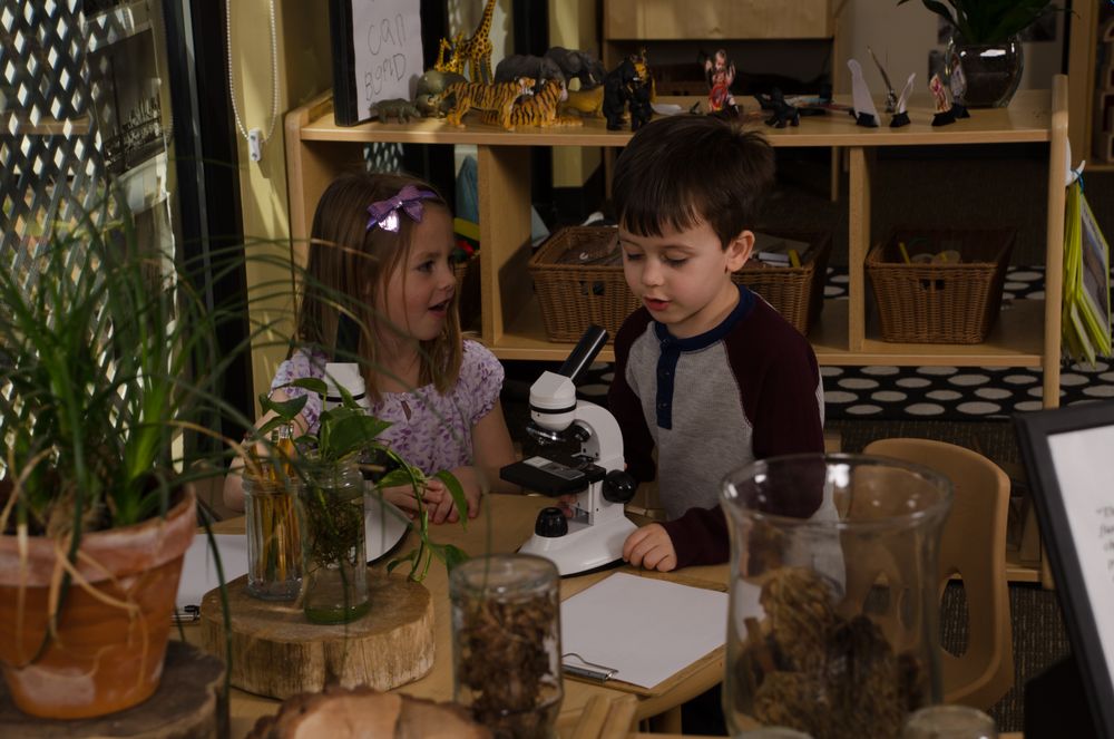 Ivybrook Academy - childcare center in Highlands Ranch, CO