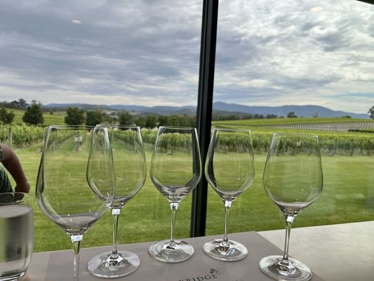 Oakridge Wines by null