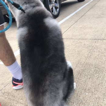 Happy Tails N' Paws - Pet Groomers Near Me - Cypress, Texas Happy Tails N' Paws - Pet Groomers Near Me - Cypress, Texas