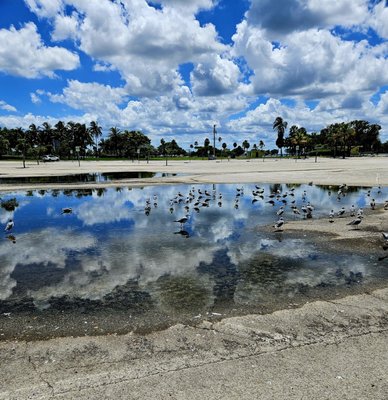 Haulover Park by null