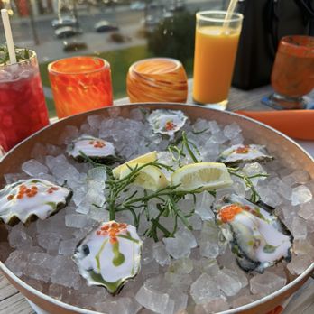 Garibaldi - Garibaldi Oysters - Cocktail Bars Near Me - San Diego, California