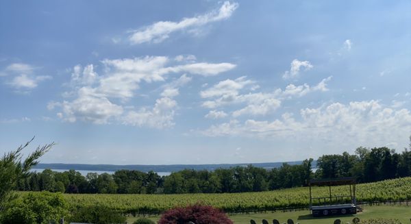 Buttonwood Grove Winery by null