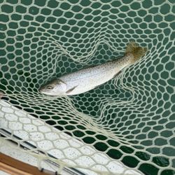 Adventure Angling
