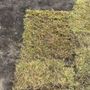 Photo of Carolina Turf Farms Inc