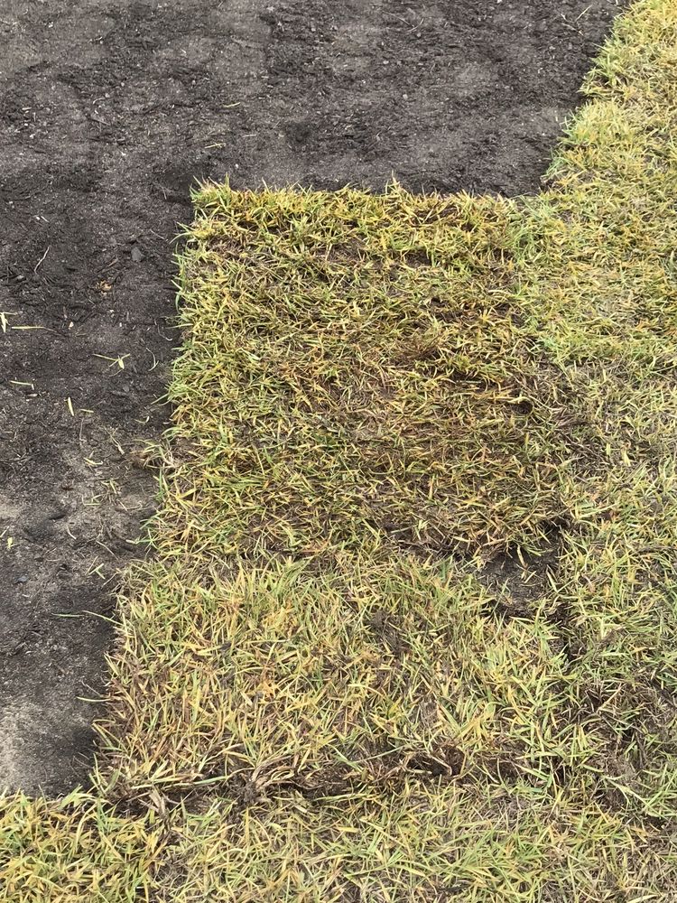 CAROLINA TURF FARMS INC Updated September 2024 10 Photos 1495 St