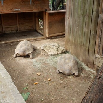 Austin Zoo - Zoos Near Me - Austin, Texas Austin Zoo - Zoos Near Me - Austin, Texas