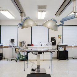 Midlands Veterinary Practice - The surgery suite