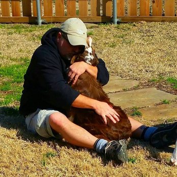 Dallas Dog Whisperer - Saying Goodbye to a friend - Pet Training Near Me