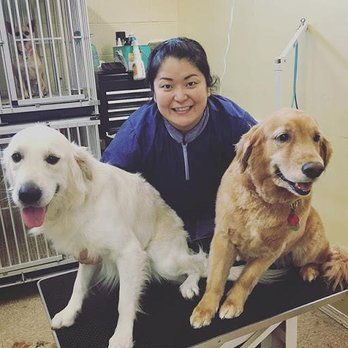 Shear Magic Pet Salon - Pet Groomers Near Me - Hilo, Hawaii Shear Magic Pet Salon - Pet Groomers Near Me - Hilo, Hawaii