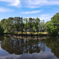 The Haven Detox