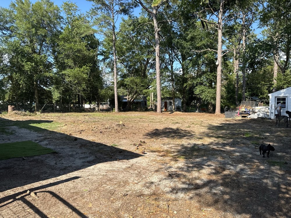 Dillard Land Management - tree service in Newberry, SC