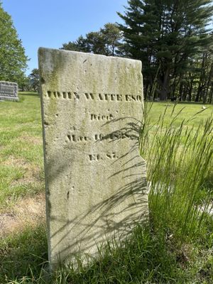 Western Cemetery by null