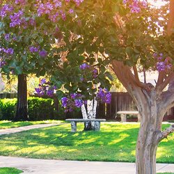 Livermore Valley Senior Living - Beautiful Gardens for families and residents to enjoy outdoor activities.