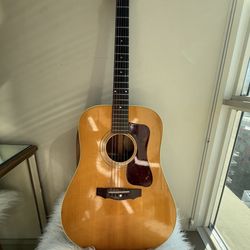 Mark's Guitar Exchange - Guild D40 Guitar