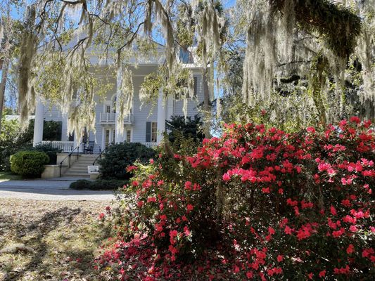 McLeod Plantation Historic Site by null
