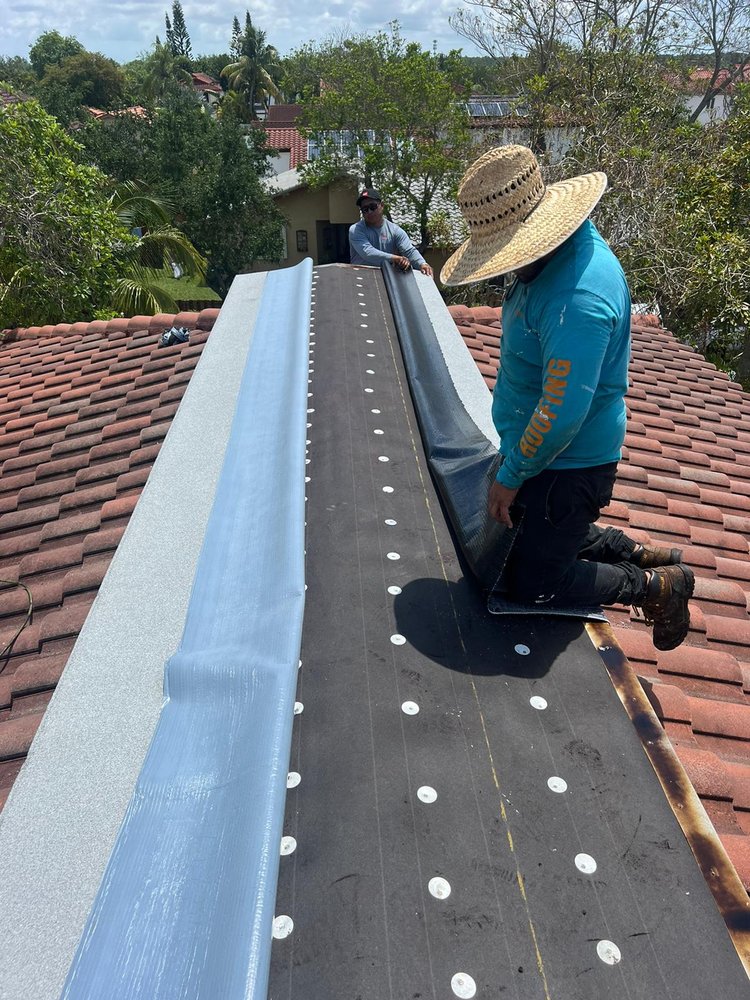 Slide of Sarah Roofing