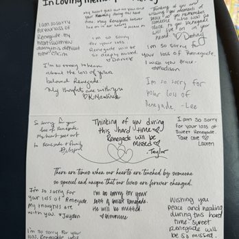 PEBBLE CREEK ANIMAL HOSPITAL - Updated March 2026 - 37 Photos & 80