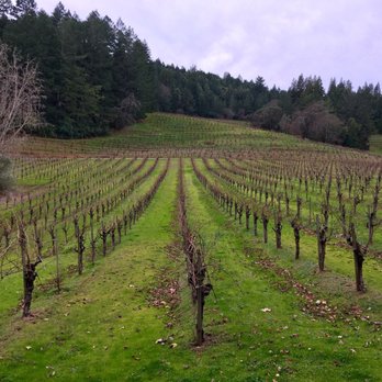 Stony Hill - Wineries Near Me - Saint Helena, California Stony Hill - Wineries Near Me - Saint Helena, California
