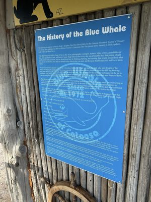 Blue Whale of Catoosa by null