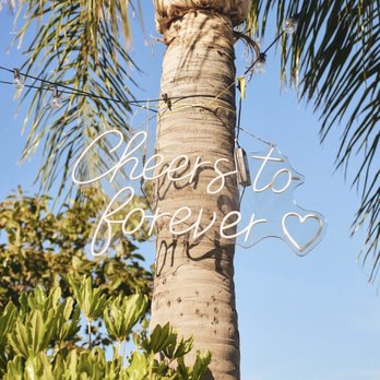 Zino Weddings - Videographers Near Me - Los Angeles, California Zino Weddings - Videographers Near Me - Los Angeles, California