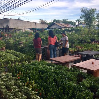 Karen Garden - Nurseries & Gardening Near Me - Angeles City, PAM Karen Garden - Nurseries & Gardening Near Me - Angeles City, PAM
