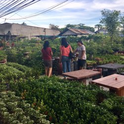 Karen Garden