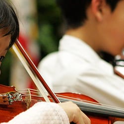 Amac Violins - Music lessons.