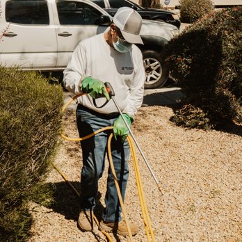 Toby's Pest Control - Pest Control Near Me - Goodyear, Arizona Toby's Pest Control - Pest Control Near Me - Goodyear, Arizona