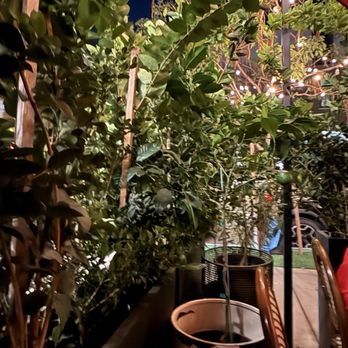 Propaganda Wine Bar - Wine Bars Near Me - Los Angeles, California Propaganda Wine Bar - Wine Bars Near Me - Los Angeles, California