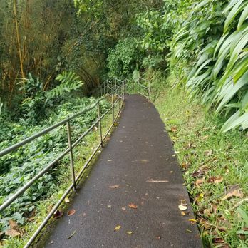 Akaka Falls State Park - Circle route slight decline than down a bunch of stairs - Parks Near Me - Honomu, Hawaii