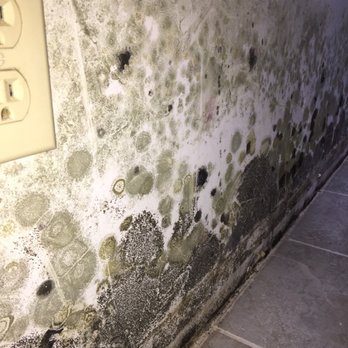 Category 3 - moldy sheetrock wall in basement - Damage Restoration Near Me Category 3 - moldy sheetrock wall in basement - Damage Restoration Near Me