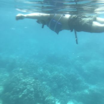 Bay Side Adventures - Tours Near Me - Honaunau, Hawaii Bay Side Adventures - Tours Near Me - Honaunau, Hawaii