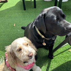Making friends